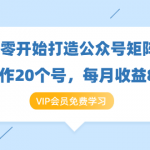 《从零开始打造公众号矩阵》批量操作20个号，每月收益大概8-12W（44节课）