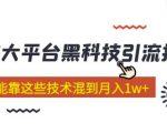 大平台黑科技引流技术，小白也能靠这些技术混到月入1W+