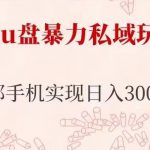 车载U盘暴力私域玩法，长期项目，仅需一部手机实现日入300+