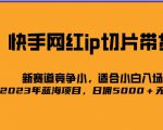 2023爆火的快手网红IP切片，号称日佣5000＋的蓝海项目，二驴的独家授权