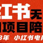 小红书无货源项陪目‬跑营，从0-1从开店到爆单，单店30万销售额，利润50%，有所‬的货干‬都享分‬给你