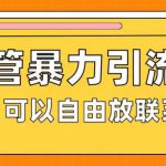 油管暴力引流，可以自由放联系方式【揭秘】