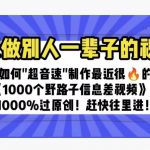 一天做完别一辈子的视频制作最近很火的《1000个野路子信息差》100%过原创【揭秘】