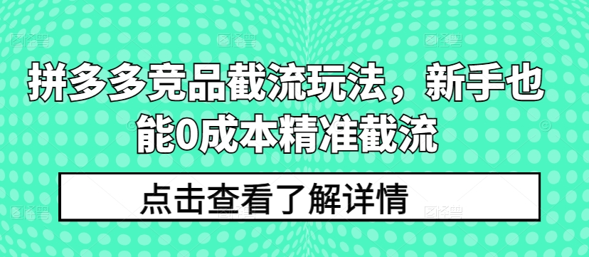 拼多多竞品截流玩法，新手也能0成本精准截流|霸气资源网