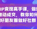 私域IP变现高手课，做好私域，被动成交，教你如何打造好朋友圈做好社群