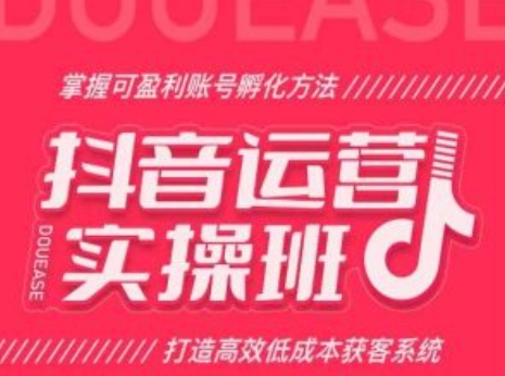 抖音运营实操班，掌握可盈利账号孵化方法，打造高效低成本获客系统|霸气资源网