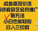 闲鱼高效引流，解锁爱奇艺会员推广新玩法，小白也能轻松日入三位数【揭秘】