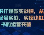 小红书打爆款实战课，从0到1起号实战，实现小红书的运营突破