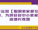 拼多多运营【聪明卖家都在做】无水印版，为拼多多中小卖家解决业绩增长难题