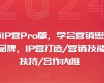 摄影师IP营Pro版，学会营销思维+打造个人品牌，IP营打造/营销技能/流量扶持/合作内推